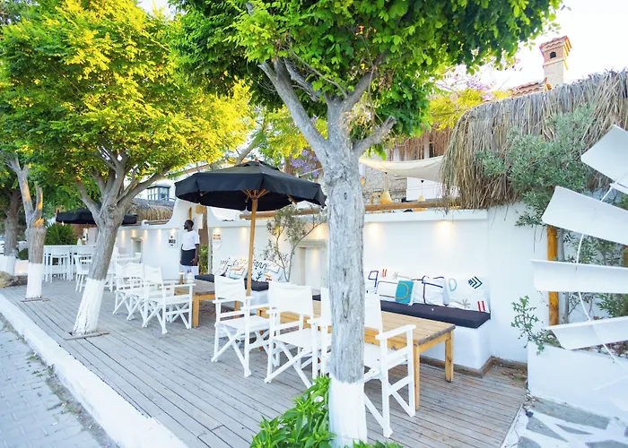 Zoe Ξενοδοχείο *