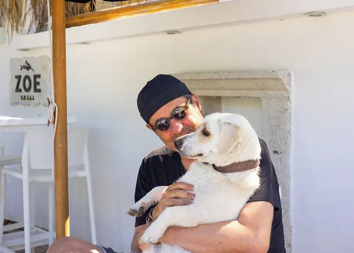 Zoe Ξενοδοχείο *