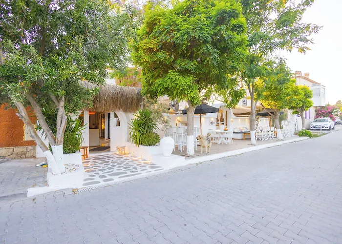 Zoe * Αλακάτι